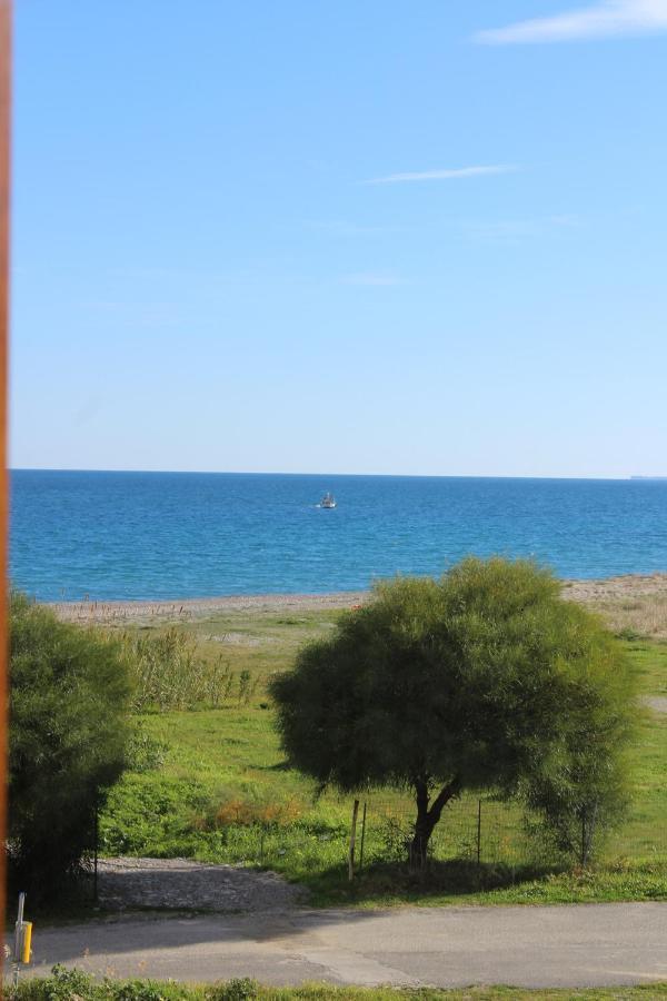 Villa El Sa Calopezzati Eksteriør bilde